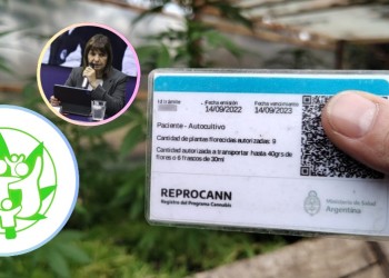 Usuarios misioneros en vilo por la baja del REPROCANN: “Esto es un paso atrás muy grande”