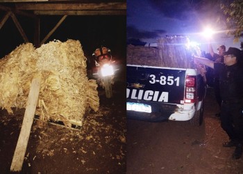 Recuperan en Irigoyen 300 kilos de tabaco robados en Pozo Azul
