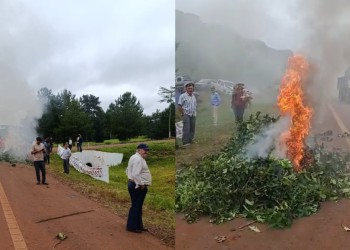 “No pasarán”: yerbateros queman raídos de hoja verde al costado de la ruta