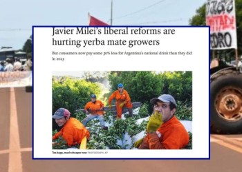 Yerba mate: uno de los diarios de economía más importante del mundo se hizo eco de la crisis de los productores