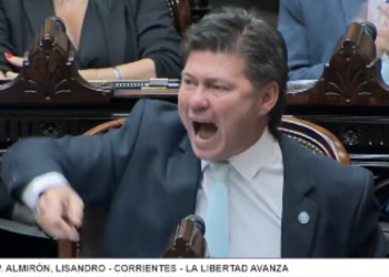 “¿Querés que te dé un pico?”: la insólita disculpa del diputado libertario de Corrientes