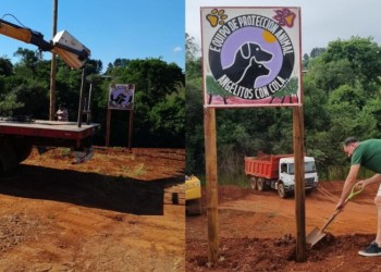 Buscan ayuda para construir un centro de contención animal en San Vicente