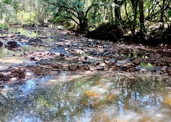 Declaran la emergencia hídrica en Capioví ante la falta de agua