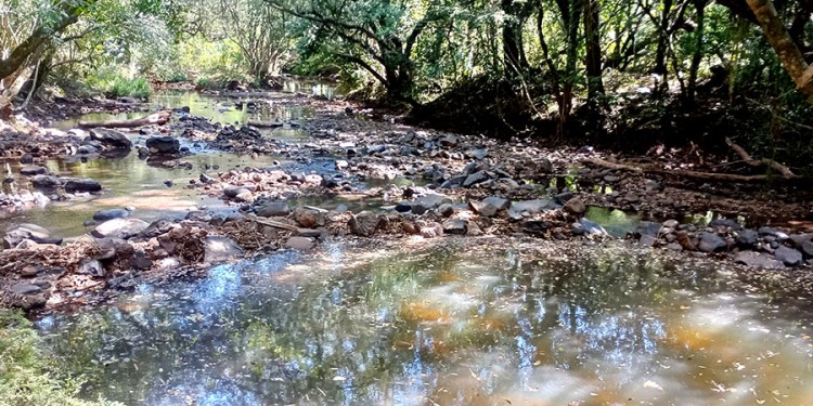 COMPLICADO. Las piedras afloran en varios tramos del recorrido del arroyo Capioví, una imagen inusual y que pone en jaque al servicio de agua potable en esa localidad. (Foto: Gentileza Canal 3 Pto. Rico)