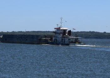 Misiones lideró las exportaciones del NEA en 2024