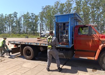 El mejor amigo de Gendarmería Nacional: un perro olfateó más de 1.000 kilos de droga