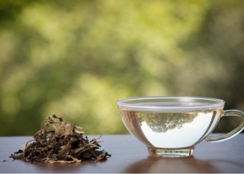 El té blanco ya forma parte del Código Alimentario Argentino