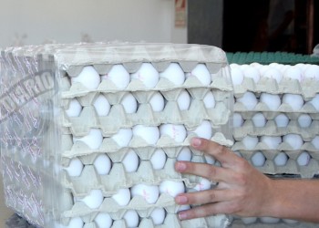 Por la mortandad de gallinas en el verano escasea huevo, está caro y restringen su venta