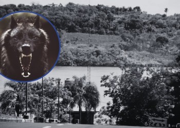 Relatos que trascienden generaciones lll: apariciones del lobizón en Candelaria