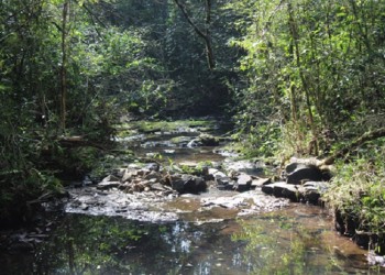 Ecosanación: el lugar de cada uno