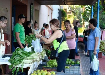 Ferias francas: menos ventas, suba de precios y apuesta por nuevos espacios