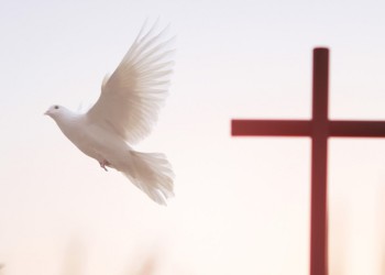 “El Verbo se hizo carne”