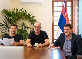 Buscan profundizar estrategias para impulsar la producción y exportación de yerba mate