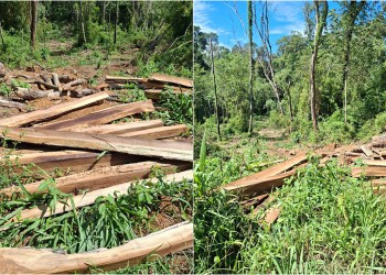 Apeo ilegal: comunidad indígena de Garuhapé denuncia nuevo “atropello” a su territorio