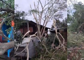 Fuerte temporal azotó la Isla Apipé: “Fue un tornado”