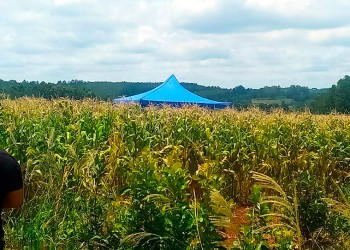 Solicitaron más pericias por el crimen de la niña Ayelén Prestes