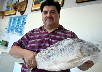 La venta de pescados de cara a Semana Santa todavía no mueve la aguja: los precios
