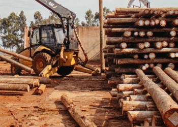 Pomera Maderas produce unos 150 mil postes impregnados para mercado interno argentino