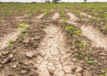 Se acabó “La Niña”, cómo sigue el clima