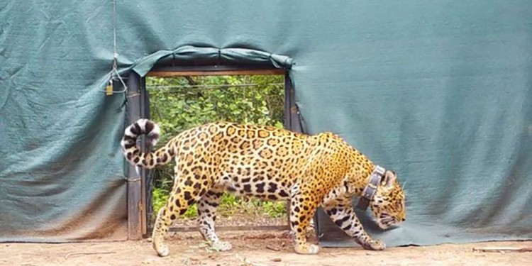 Foto: Noticias Argentinas