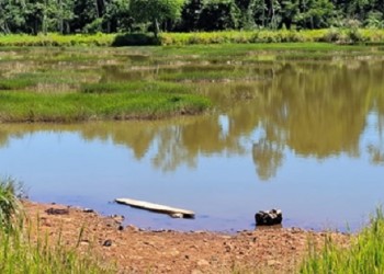 Ecosanación y los órdenes del amor