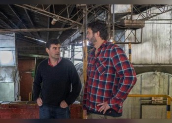 Precio de la yerba: se suman propuestas por arriba de $305 para la hoja verde