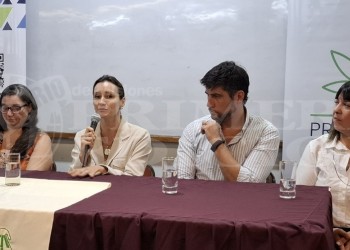 La UNaM presentó la diplomatura sobre uso responsable de cannabis, la primera de su tipo en el país