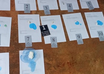 Detuvieron a dos hermanos que manejarían un narconegocio familiar