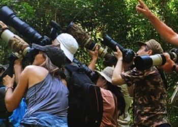 “Hasta que no termine de salir la desregulación no vamos a estar tranquilos”