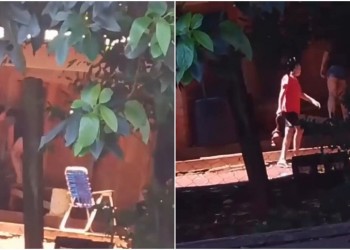 San Pedro: denuncian a una familia por degollar a un perro y quebrarle el cráneo