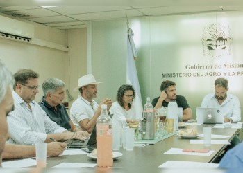 Yerbateros acuerdan pedidos a la Nación para aumentar la demanda de hoja verde