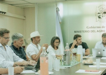 Se pospuso la reunión de la mesa yerbatera por falta de propuesta de los industriales