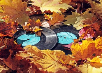 15 grandes canciones que hablan del otoño (y el fin del verano)