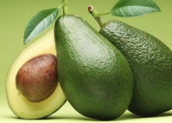 La palta: ¿es una fruta o verdura? Los mitos sobre este alimento