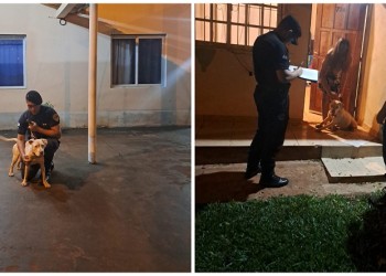 Oberá: no descartan que drogaran a una pitbull para robarla sin ser atacados