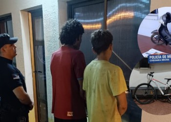 Cuatro detenidos y dos vehículos robados recuperados en operativos policiales