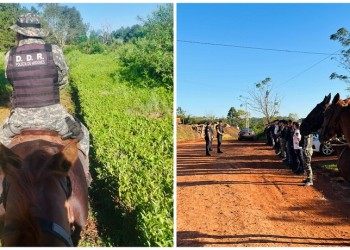 Policías recorrieron áreas rurales para prevenir abigeato, apeo ilegal y robos en las chacras