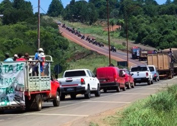 Para terminar el conflicto yerbatero “la respuesta la tienen las industrias”