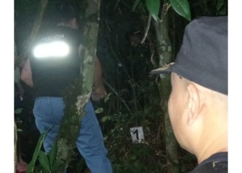 San Vicente: hallaron restos humanos y analizan si se trata de un hombre denunciado como desaparecido