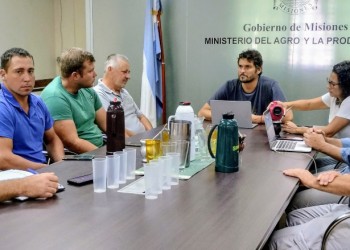 Yerbateros de zona centro piden un 13% del valor del paquete y apoyan la trazabilidad