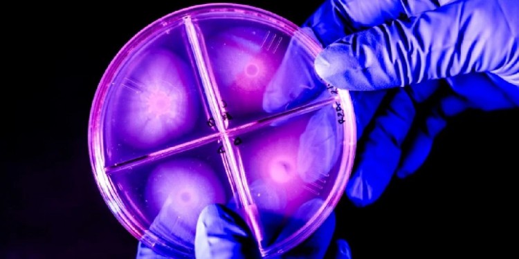 Fotos: Northeastern University