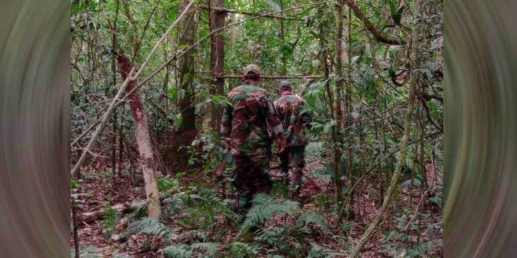 TRANSMISIÓN SELVÁTICA. Las personas que ingresan al ámbito selvático son las más vulnerables a contraer el virus.
