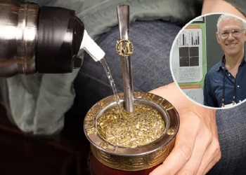 El ácido clorogénico de la yerba mate, una esperanza en la lucha contra el Parkinson
