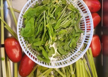 Limpia tus frutas y verduras antes de consumirlas