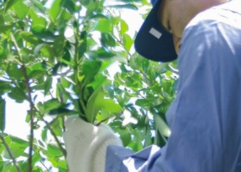 Convenio de Corresponsabilidad Gremial cumple una década