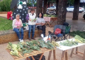 Apóstoles se prepara con devoción para el inicio de la Semana Santa
