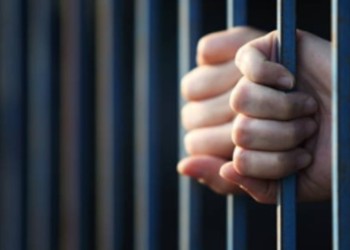 Misiones podrá acceder a una plataforma jurídica alimentada por IA para combatir el ciberdelito