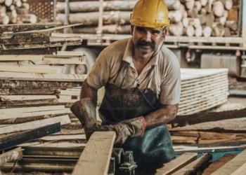 Forestales trabajan al 40% y alertan por despidos y cierres en la región