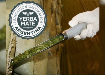 Más de 20 marcas están en el mercado con el singular sello IG Yerba Mate Argentina