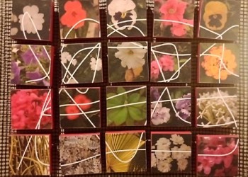 “Las Calles son Muestras”, una mirada profunda de lo urbano